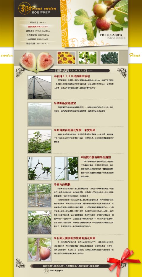 郭無花果